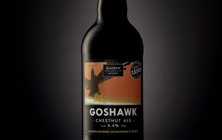 Build your brand aesthetic with professional photography and visual elements