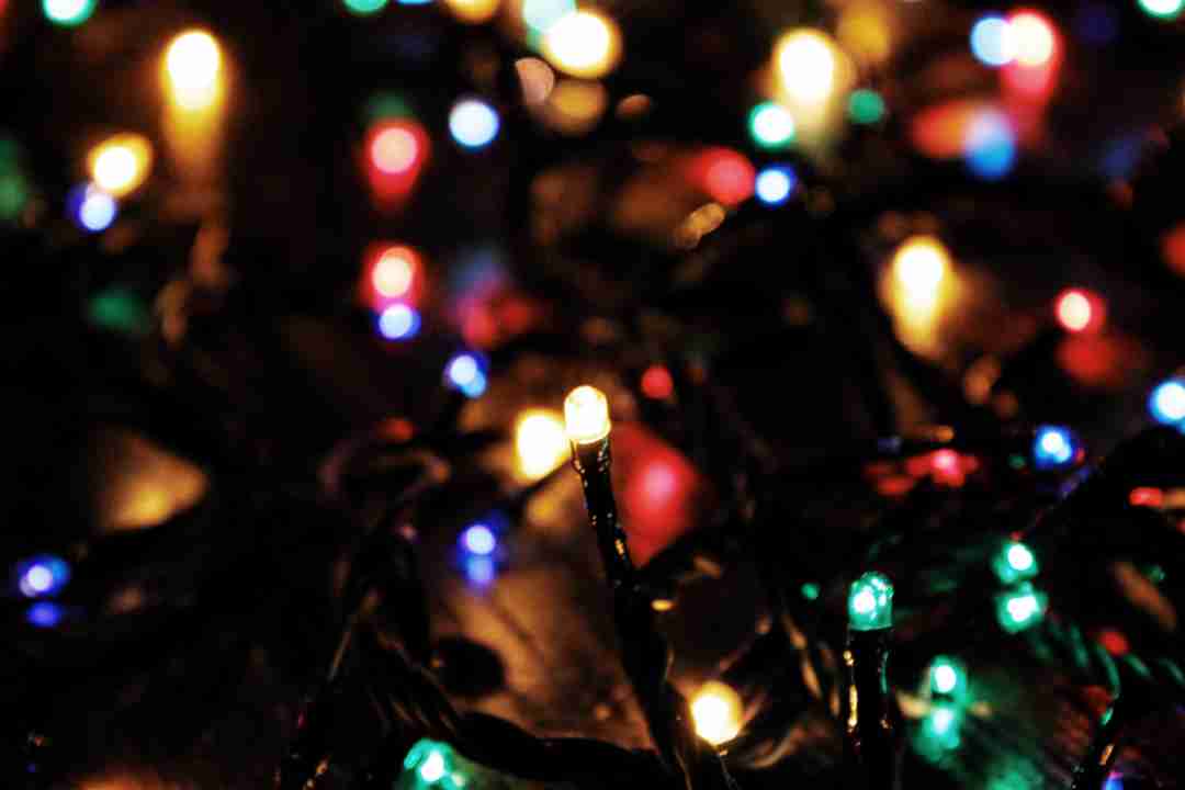 professional photographer, Christmas lights